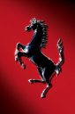 Formula 1 Wallpapper