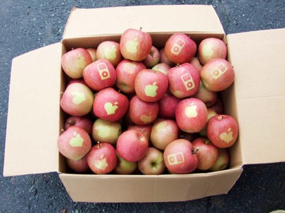 custom-apple-apples