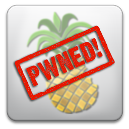 pwnage pwnage